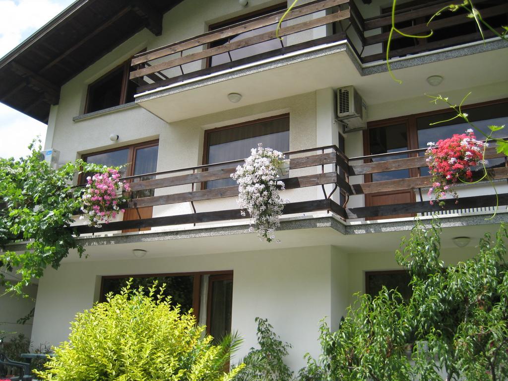 Slavina Guest House Sapareva Banja Exteriér fotografie